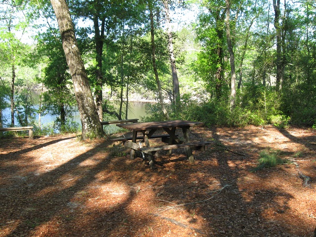 Ralph E. Simmons Memorial State Forest