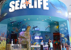 Sea Life Orlando?Aquarium